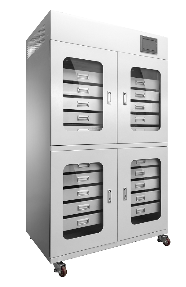 美女内射无套日韩免费播放