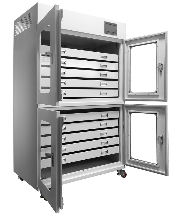 美女内射无套日韩免费播放