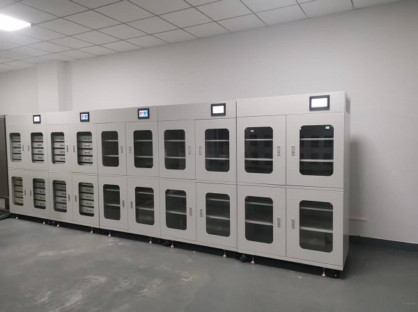 美女内射无套日韩免费播放